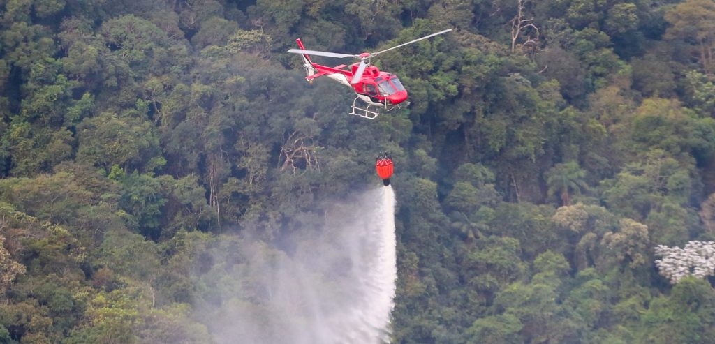São Paulo tem menor número de focos de incêndio para o mês de junho 