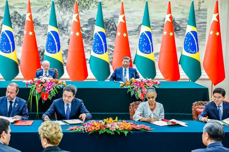 Brasil e China trabalharão juntos na restauração de vegetação e sumidouros de carbono